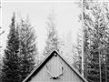 Picture of Forest Cabin _GroupedProduct_Rectangle_Landscape_Photography _GroupedProduct_Rectangle_Landscape_Unframed_Print_Only_