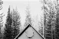 Picture of Forest Cabin _GroupedProduct_Rectangle_Landscape_Photography _GroupedProduct_Rectangle_Landscape_Unframed_Print_Only_