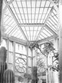 Picture of Tropical Greenhouse lll _GroupedProduct_Rectangle_Portrait_Photography _GroupedProduct_Rectangle_Portrait_Unframed_Print_Only_