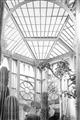 Picture of Tropical Greenhouse lll _GroupedProduct_Rectangle_Portrait_Photography _GroupedProduct_Rectangle_Portrait_Unframed_Print_Only_