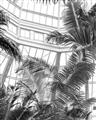 Picture of Tropical Greenhouse ll _GroupedProduct_Rectangle_Portrait_Photography _GroupedProduct_Rectangle_Portrait_Unframed_Print_Only_
