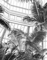 Picture of Tropical Greenhouse ll _GroupedProduct_Rectangle_Portrait_Photography _GroupedProduct_Rectangle_Portrait_Unframed_Print_Only_
