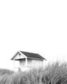 Picture of Lake House Neutral  _GroupedProduct_Rectangle_Portrait_Photography _GroupedProduct_Rectangle_Portrait_Unframed_Print_Only_