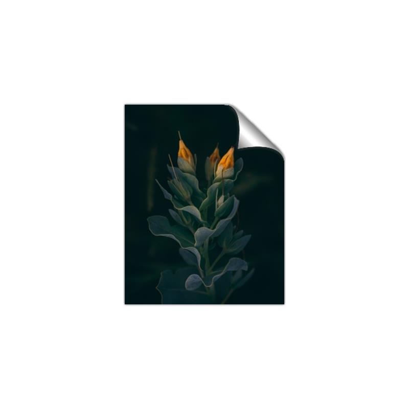 Picture of Tropical Bliss _GroupedProduct_Rectangle_Portrait_Photography _GroupedProduct_Rectangle_Portrait_Unframed_Print_Only_