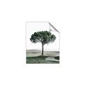 Picture of The Only Tree _GroupedProduct_Rectangle_Portrait_Photography _GroupedProduct_Rectangle_Portrait_Unframed_Print_Only_