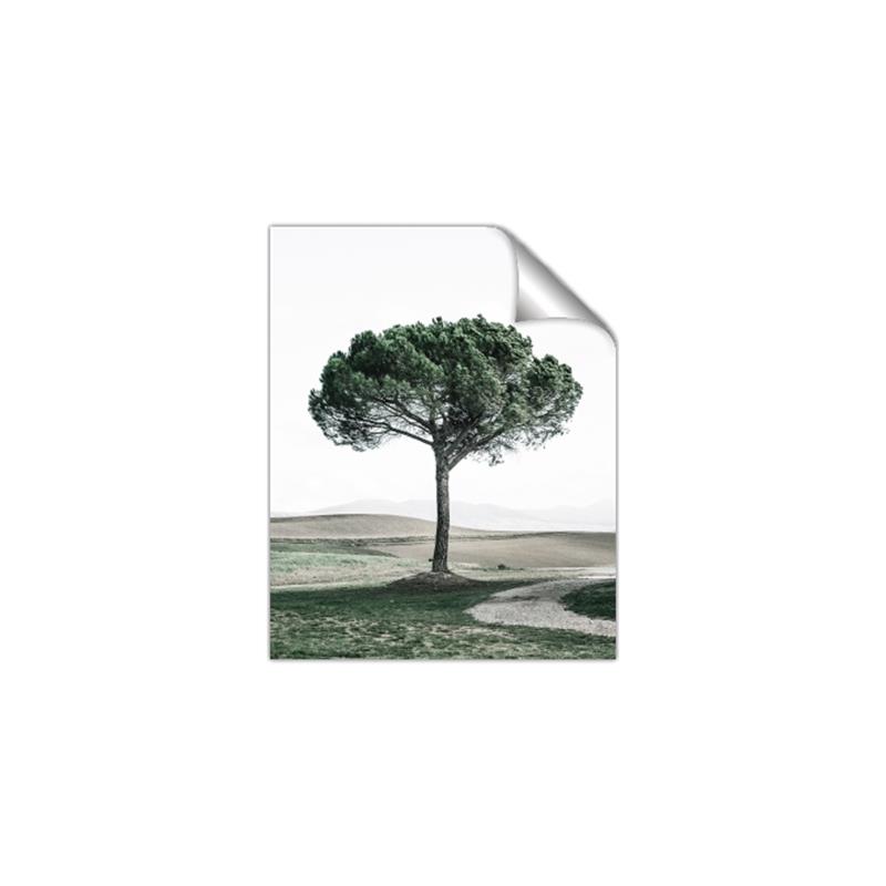 Picture of The Only Tree _GroupedProduct_Rectangle_Portrait_Photography _GroupedProduct_Rectangle_Portrait_Unframed_Print_Only_
