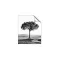 Picture of The Only Tree _GroupedProduct_Rectangle_Portrait_Photography _GroupedProduct_Rectangle_Portrait_Unframed_Print_Only_