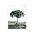 Picture of The Only Tree _GroupedProduct_Rectangle_Portrait_Photography _GroupedProduct_Rectangle_Portrait_Unframed_Print_Only_