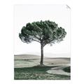 Picture of The Only Tree _GroupedProduct_Rectangle_Portrait_Photography _GroupedProduct_Rectangle_Portrait_Unframed_Print_Only_