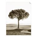 Picture of The Only Tree _GroupedProduct_Rectangle_Portrait_Photography _GroupedProduct_Rectangle_Portrait_Unframed_Print_Only_
