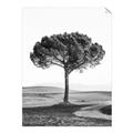 Picture of The Only Tree _GroupedProduct_Rectangle_Portrait_Photography _GroupedProduct_Rectangle_Portrait_Unframed_Print_Only_