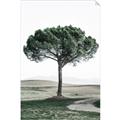 Picture of The Only Tree _GroupedProduct_Rectangle_Portrait_Photography _GroupedProduct_Rectangle_Portrait_Unframed_Print_Only_