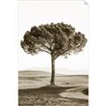 Picture of The Only Tree _GroupedProduct_Rectangle_Portrait_Photography _GroupedProduct_Rectangle_Portrait_Unframed_Print_Only_