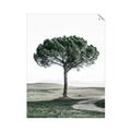 Picture of The Only Tree _GroupedProduct_Rectangle_Portrait_Photography _GroupedProduct_Rectangle_Portrait_Unframed_Print_Only_