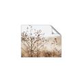 Picture of Neutral Grasses _GroupedProduct_Rectangle_Landscape_Photography _GroupedProduct_Rectangle_Landscape_Unframed_Print_Only_