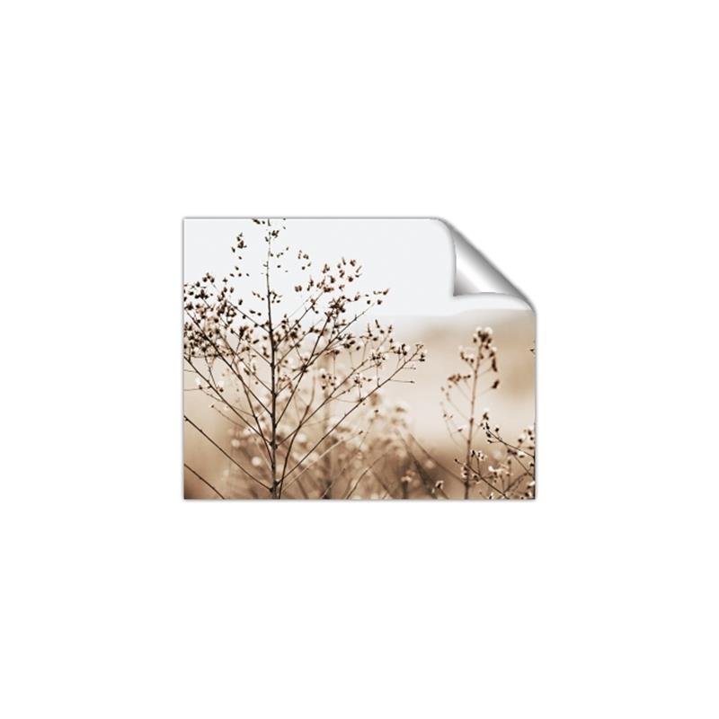 Picture of Neutral Grasses _GroupedProduct_Rectangle_Landscape_Photography _GroupedProduct_Rectangle_Landscape_Unframed_Print_Only_