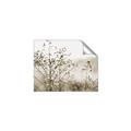 Picture of Neutral Grasses _GroupedProduct_Rectangle_Landscape_Photography _GroupedProduct_Rectangle_Landscape_Unframed_Print_Only_