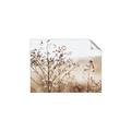 Picture of Neutral Grasses _GroupedProduct_Rectangle_Landscape_Photography _GroupedProduct_Rectangle_Landscape_Unframed_Print_Only_