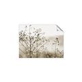 Picture of Neutral Grasses _GroupedProduct_Rectangle_Landscape_Photography _GroupedProduct_Rectangle_Landscape_Unframed_Print_Only_