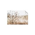 Picture of Neutral Grasses _GroupedProduct_Rectangle_Landscape_Photography _GroupedProduct_Rectangle_Landscape_Unframed_Print_Only_