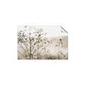 Picture of Neutral Grasses _GroupedProduct_Rectangle_Landscape_Photography _GroupedProduct_Rectangle_Landscape_Unframed_Print_Only_