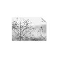 Picture of Neutral Grasses _GroupedProduct_Rectangle_Landscape_Photography _GroupedProduct_Rectangle_Landscape_Unframed_Print_Only_