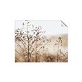 Picture of Neutral Grasses _GroupedProduct_Rectangle_Landscape_Photography _GroupedProduct_Rectangle_Landscape_Unframed_Print_Only_