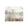 Picture of Neutral Grasses _GroupedProduct_Rectangle_Landscape_Photography _GroupedProduct_Rectangle_Landscape_Unframed_Print_Only_