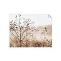 Picture of Neutral Grasses _GroupedProduct_Rectangle_Landscape_Photography _GroupedProduct_Rectangle_Landscape_Unframed_Print_Only_