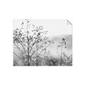 Picture of Neutral Grasses _GroupedProduct_Rectangle_Landscape_Photography _GroupedProduct_Rectangle_Landscape_Unframed_Print_Only_