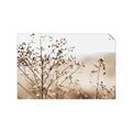 Picture of Neutral Grasses _GroupedProduct_Rectangle_Landscape_Photography _GroupedProduct_Rectangle_Landscape_Unframed_Print_Only_