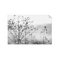 Picture of Neutral Grasses _GroupedProduct_Rectangle_Landscape_Photography _GroupedProduct_Rectangle_Landscape_Unframed_Print_Only_
