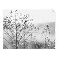 Picture of Neutral Grasses _GroupedProduct_Rectangle_Landscape_Photography _GroupedProduct_Rectangle_Landscape_Unframed_Print_Only_