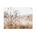 Picture of Neutral Grasses _GroupedProduct_Rectangle_Landscape_Photography _GroupedProduct_Rectangle_Landscape_Unframed_Print_Only_