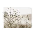 Picture of Neutral Grasses _GroupedProduct_Rectangle_Landscape_Photography _GroupedProduct_Rectangle_Landscape_Unframed_Print_Only_