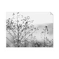 Picture of Neutral Grasses _GroupedProduct_Rectangle_Landscape_Photography _GroupedProduct_Rectangle_Landscape_Unframed_Print_Only_