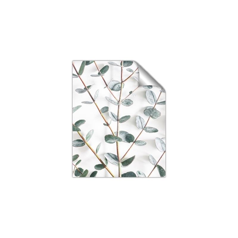 Picture of Eucalyptus Vine _GroupedProduct_Rectangle_Portrait_Photography _GroupedProduct_Rectangle_Portrait_Unframed_Print_Only_