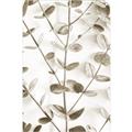 Picture of Eucalyptus Vine _GroupedProduct_Rectangle_Portrait_Photography _GroupedProduct_Rectangle_Portrait_Unframed_Print_Only_
