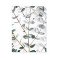 Picture of Eucalyptus Vine _GroupedProduct_Rectangle_Portrait_Photography _GroupedProduct_Rectangle_Portrait_Unframed_Print_Only_