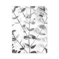 Picture of Eucalyptus Vine _GroupedProduct_Rectangle_Portrait_Photography _GroupedProduct_Rectangle_Portrait_Unframed_Print_Only_