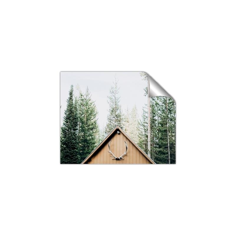 Picture of Forest Cabin _GroupedProduct_Rectangle_Landscape_Photography _GroupedProduct_Rectangle_Landscape_Unframed_Print_Only_