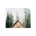 Picture of Forest Cabin _GroupedProduct_Rectangle_Landscape_Photography _GroupedProduct_Rectangle_Landscape_Unframed_Print_Only_