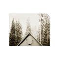 Picture of Forest Cabin _GroupedProduct_Rectangle_Landscape_Photography _GroupedProduct_Rectangle_Landscape_Unframed_Print_Only_