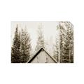 Picture of Forest Cabin _GroupedProduct_Rectangle_Landscape_Photography _GroupedProduct_Rectangle_Landscape_Unframed_Print_Only_