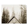Picture of Forest Cabin _GroupedProduct_Rectangle_Landscape_Photography _GroupedProduct_Rectangle_Landscape_Unframed_Print_Only_