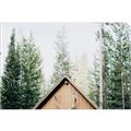 Picture of Forest Cabin _GroupedProduct_Rectangle_Landscape_Photography _GroupedProduct_Rectangle_Landscape_Unframed_Print_Only_