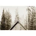 Picture of Forest Cabin _GroupedProduct_Rectangle_Landscape_Photography _GroupedProduct_Rectangle_Landscape_Unframed_Print_Only_