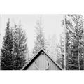 Picture of Forest Cabin _GroupedProduct_Rectangle_Landscape_Photography _GroupedProduct_Rectangle_Landscape_Unframed_Print_Only_