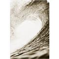 Picture of The Wave _GroupedProduct_Rectangle_Portrait_Photography _GroupedProduct_Rectangle_Portrait_Unframed_Print_Only_