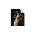 Picture of Yawning lion _GroupedProduct_Rectangle_Portrait_Photography _GroupedProduct_Rectangle_Portrait_Unframed_Print_Only_